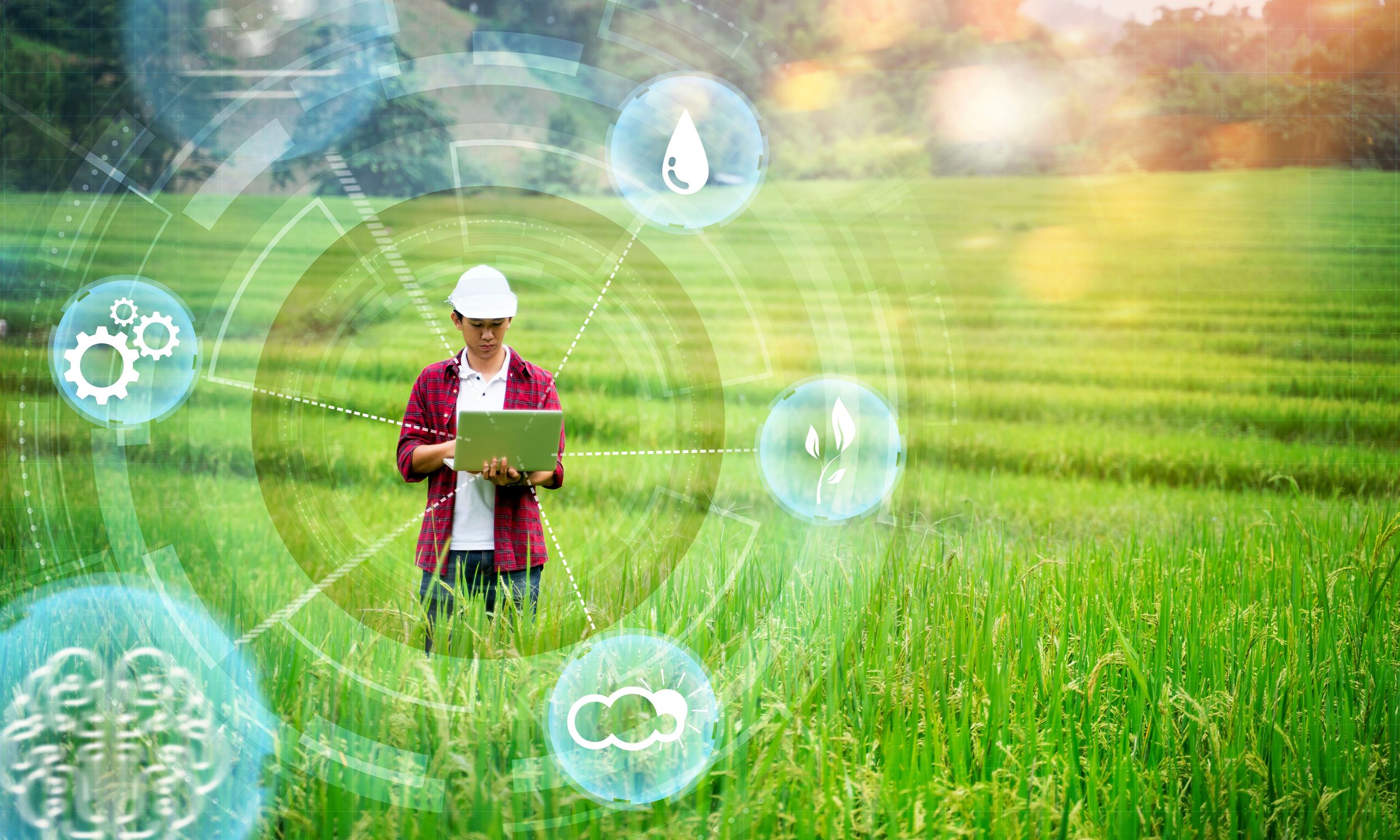 China International Agricultural Machinery Exhibition 2025 (CIAME2025) งานแสดงเครื่องจักรกลการเกษตรที่ใหญ่ที่สุดงานหนึ่งของจีน